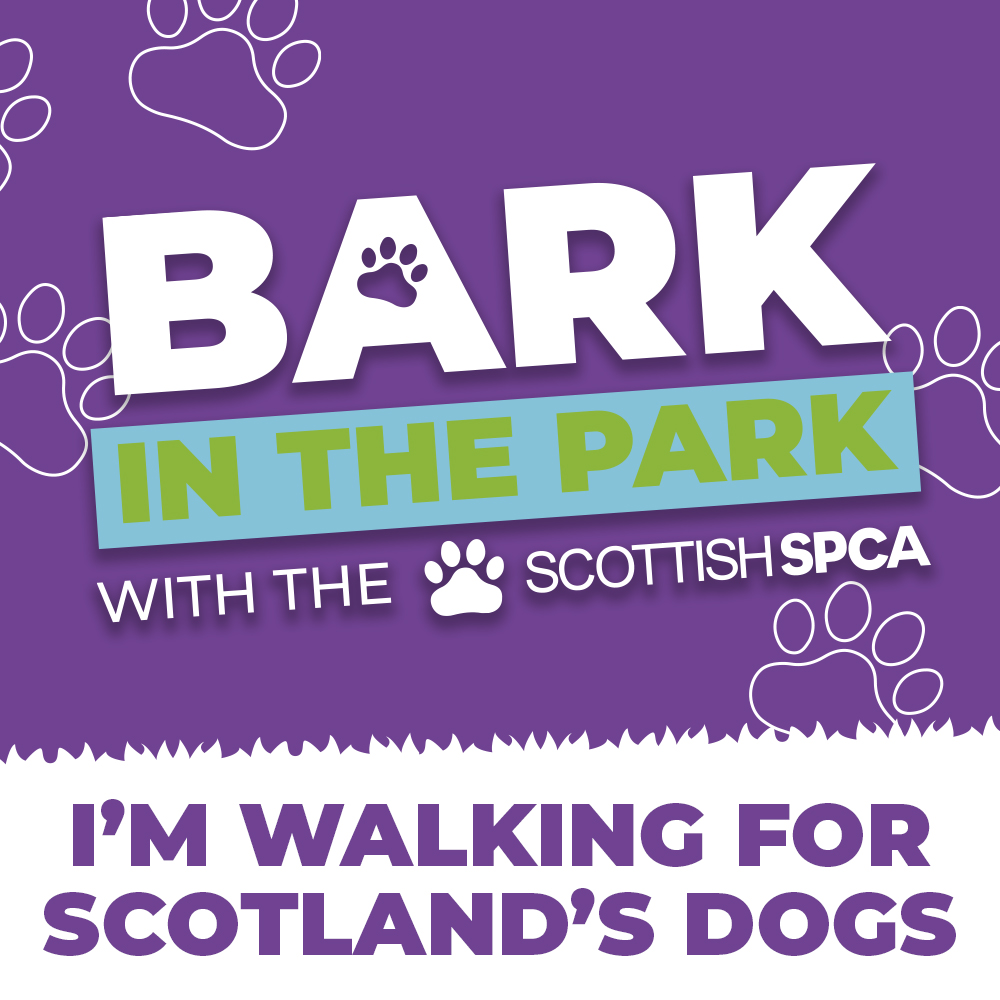 Bark in the Park 1