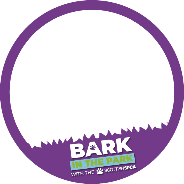 Bark in the Park 5