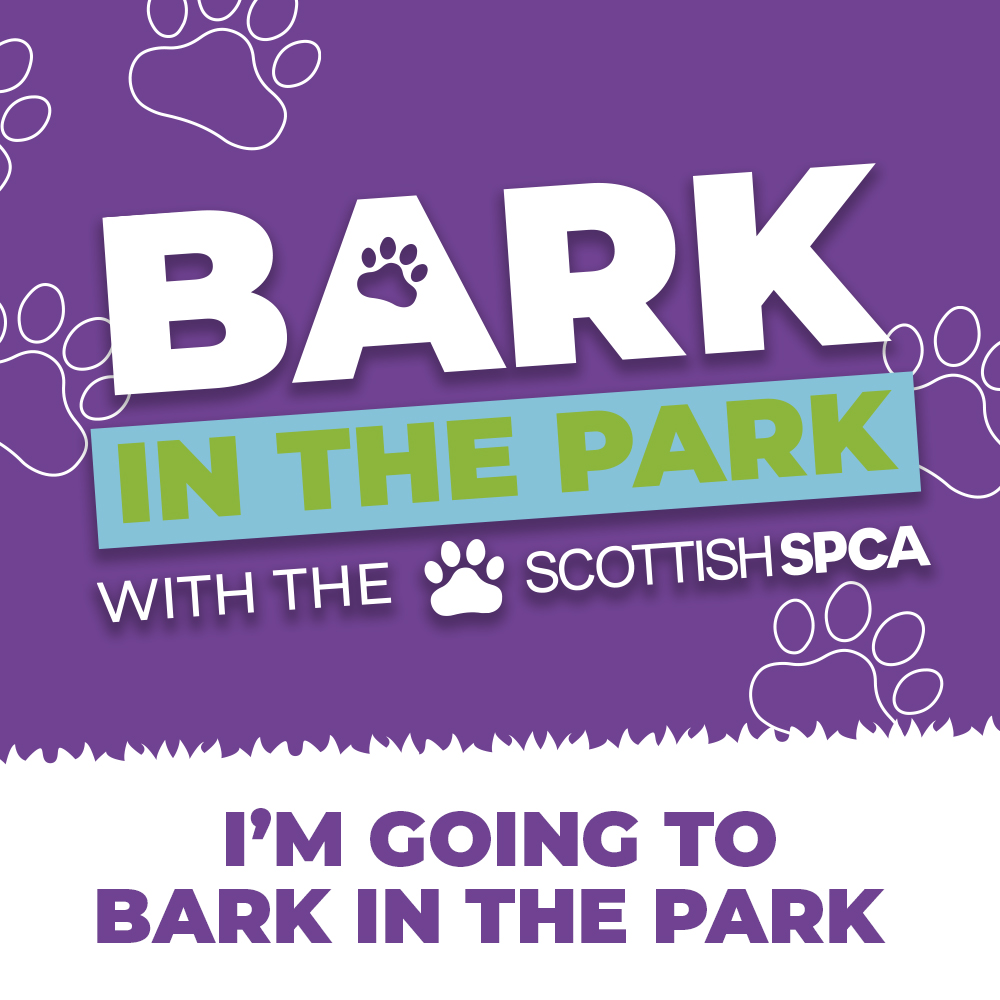 Bark in the Park 4