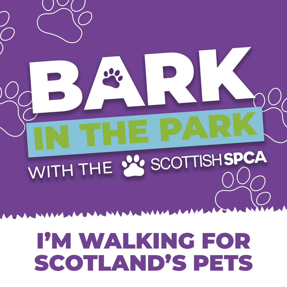 Bark in the Park 3